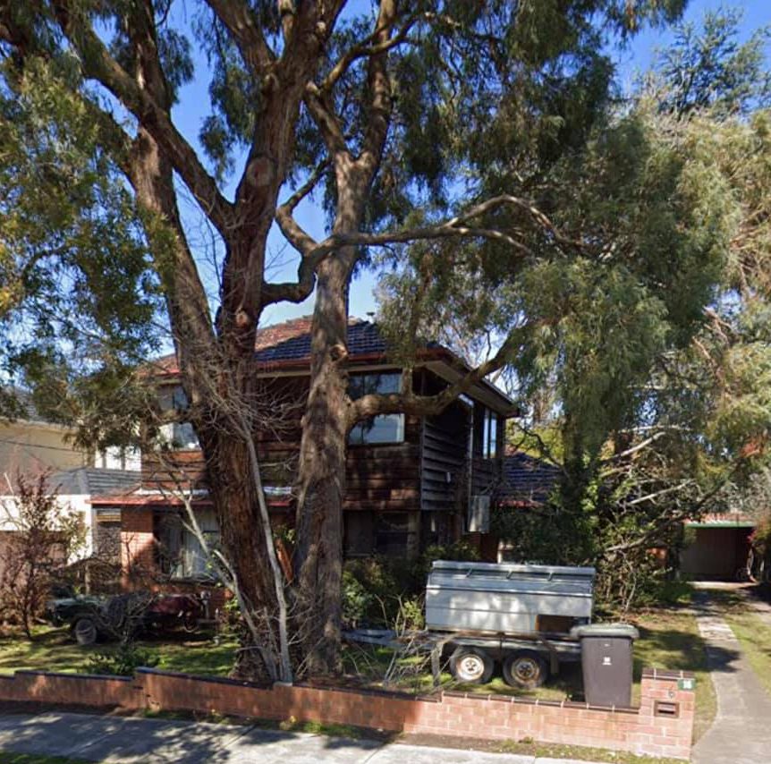 Tree and Vegetation Removal